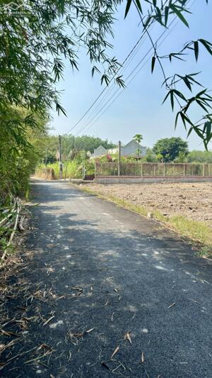 chính chủ bán gấp 20mét ngang đất sổ hồng thổ cư đường nhựa Tỉnh Lộ 2