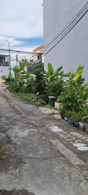 bán đất tại bạch mai, đồng thái, an dương, hải phòng giá chỉ 1,6x tỷ