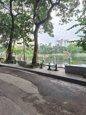 bán gâp! nhà mặt phố hồ trúc bạch - ba đình - diện tích 43m2 mt 4.8m 6tầng - kinh doanh - hiếm bán