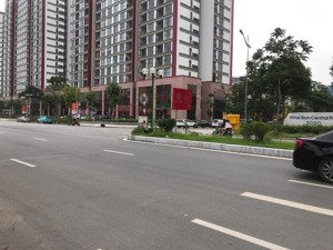 bán nhà riêng tại lý sơn, 11,729 tỷ ô tô 7 chỗ vào nhà, gần công viên khai sơn, ô chờ thang máy