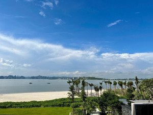 bán căn góc 3 phòng ngủ - mặt biển bãi cháy - nội thất 5 sao - 115m2 - giá 8,7 tỷ.