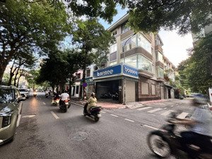 cực phẩm! bán nhà riêng dịch vọng, siêu hiếm, liền kề, ô tô trong nhà, ô tô tránh, mt6m, 110m2, 5t