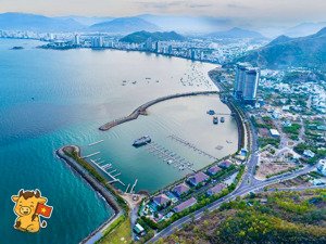 bán đất biệt thự biển vĩnh hoà - 242m2 ngang 10m chỉ 42 triệu/m2 tổng cộng chỉ hơn 10 tỷ