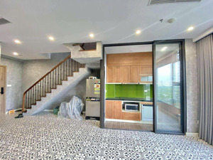 chỉ 58tr/m2 sở hữu căn hộ tầng mezza 2 ngủ 2 vệ sinh - chung cư sky oasis , kđt ecopark