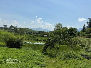 em bán lô đất nghỉ dưỡng view đồi chè đẹp nhất nhì khu du lịch long cốc - tân sơn - phú thọ