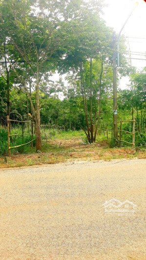 bán đất tại thanh tuyền 204, đường dh706, dầu tiếng, bình dương, giá ưu đãi 760 triệu, 217m2