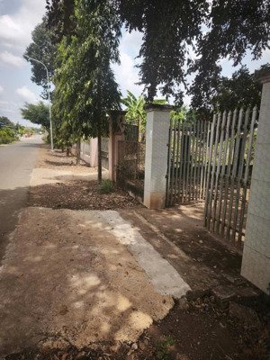 bán đất tặng nhà cấp 4 và vườn cây trái