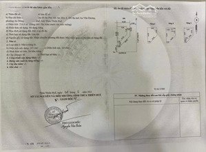 biệt thự 2 mặt tiền 4 tầng phú mỹ an. giá tốt