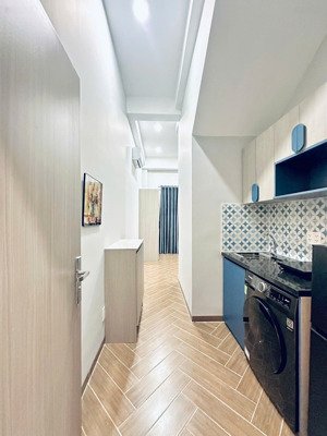 cho thuê 1pn cao cấp 1pn 1wc + máy giặt riêng - gần chợ bà chiểu - quận 1, phú nhuận - trường đh