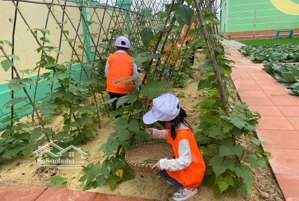 bán vườn sinh thái xã bình minh cửa ngõ hà đông 522m2 đường ô tô tải vào đất, 2 mặt tiền trước sau