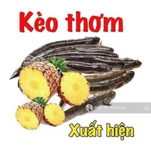 hàng đầu tư
nhà nát - 50m2 - ngang 4.5m -nở hậu tài lộc - hẻm xe hơi thông - gần man thiện - 4.5 tỷ