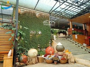 bán đất hiếm hẻm ô tô đường vi ba, tp. vũng tàu 1.164m², view toàn thành phố giá tốt chỉ 13.8 tỷ