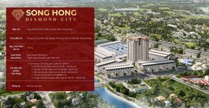 nhận booking sớm chung cư thương mại diamond city - gần chợ đầu mối nông sản từ hồ