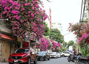 bán nhà mặt tiền trần hưng đạo, tsn tân phú. dt 5m x 20m. 4 tầng, hđt 50tr, giá 12 tỷ chính chủ