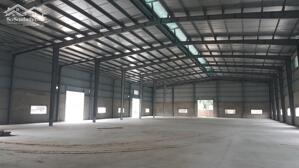 Chính Chủ Cần Bán Gấp Nhà Xưởng Giá Tốt Long Thành, đồng Nai