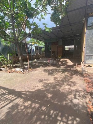 cho thuê mbkd sát lương định của an phú, quận 2