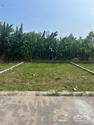 hot - cần bán 90m2 sát bãi tắm quất lâm nhỉnh 2 tỉ