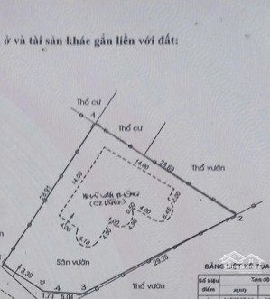 bán biệt thự thảo điền quận 2 diện tích lớn giá đầu tư chỉ 79 tỷ