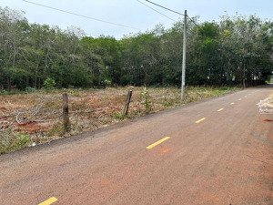 chính chủ cần gấp lô đất xã bưng riềng cũ xã xuyên mộc thành phố hồ chí minh mới