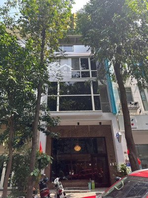 bán nhà phố kinh doanh khu hưng gia hưng phước - phú mỹ hưng