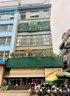 góc 2 mặt tiền ngang 9m cho thuê nguyên căn số 53 lê thị hồng gấm q1