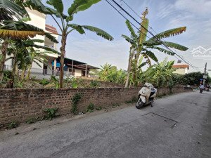 bán đất xuân khôi, cự khối, long biên, 170m2, mt 11m, giá 9.6 tỷ, biệt thự vườn, cuộc sống như mơ