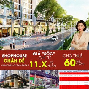 độc nhất - duy nhất có 102 căn shop góc mặt sảnh mặt đường 30m sổ lâu dài râm có mức giá hơn 11 tỷ