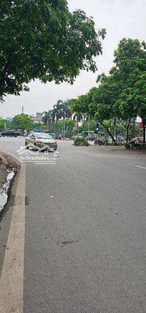 khẳng định rẻ nhất đấu giá tứ hiệp 1 lô duy nhất 93m, mt5m