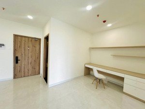 chính chủ cho thuê căn hộ chung cư cao cấp trung tâm thủ dầu một - the maison