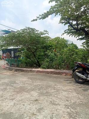 Bán nền 52m sau lưng chợ đầu mối Thủ Đức đường nhựa 5m sổ sẵn giá chỉ 3,15 tỷ