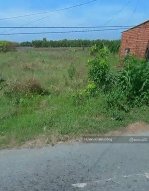 ra nhanh lô đất đ.vàm cái nhứt-tắc vân hoà tân cà mau gần chợ tân bửu 120m2/500tr shr full thổ cư