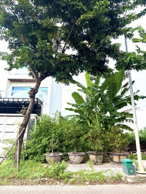 cắt lỗ! 400tr-cần bán gấp đất đường phan huỳnh điểu-122.5m -nam hòa xuân, đà nẵng