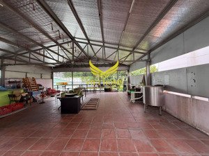cho thuê mặt bằng kinh doanh xuân thuỷ, thảo điền 40triệu / tháng diện tích 200m2