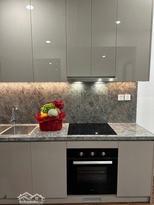 cho thuê căn hộ 1pn +1 tại masteri homes tòa h