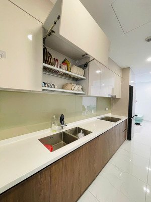 cho thuê diamond alnata plus brilliant - new 100% ở ngay, celadon city - full nt 14tr free phí ql