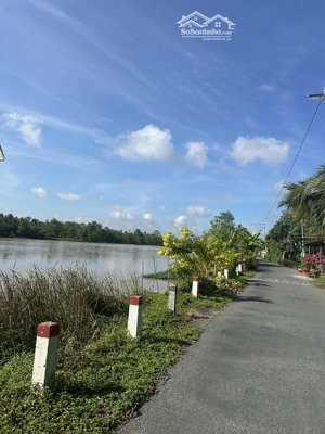 bán gấp 4 công đất trồng cây xã an thái trung - cái bè
