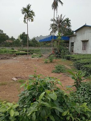 lô đất đẹp giá chỉ nhỉnh 500 triệu cơ hội đầu tư hiếm vị trí vàng: tại phú thành lạc thủy