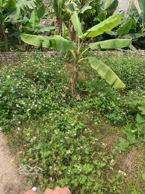 2,1 tỷ ngay mảnh đất xã vạn phúc, huyện thanh trì có sổ đỏ ở ngay, lâu dài