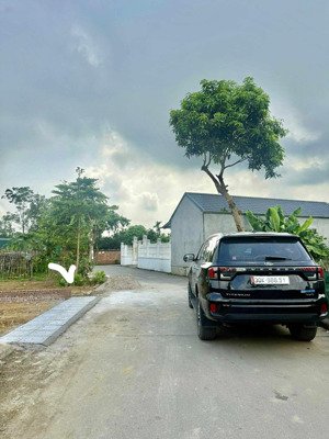 bánh nhanh đất phú cát đẹp lonh lanh