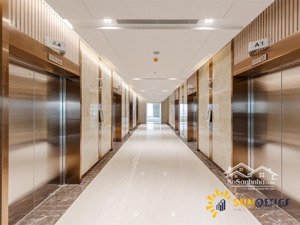 cho thuê căn hộ 52m2 tại diamond park plaza, giá ưu đãi 17 triệu
