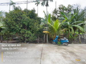bán đất p. thủ dầu một, tphcm ngang 10x25m, tc 160m. giá 14,5tr/m2. lh 