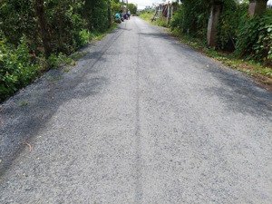 bán lô đất vườn đẹp qui đức, bình chánh