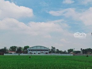 nhanh tay kẻo lỡ lô đất đẹp 71m xã đông anh mặt tiền 6m giá nhỉnh 5 tỷ