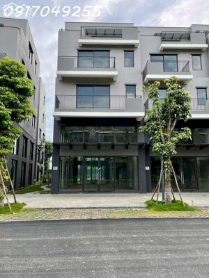 Bán căn xẻ khe mặt phố đại lộ Hùng Vương Ecopark Vinh