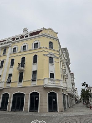 bán nhà căn góc phố đi bộ dự án sun plaza grand world