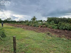 43 x 34 có thổ cư. Đường xe hơi, cập hông KCN Phước Đông. 1,3 tỷ