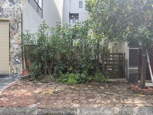 Chính chủ cần bán gấp lô đất đẹp View vườn hoa tại trung tâm khu tái định cư Trâu Quỳ, Gia Lâm