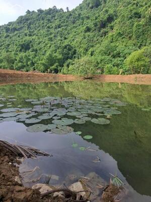 BÁN LÔ ĐẤT NÚI NON, SÔNG SUỐI CỰC ĐẸP TẠI LẠC THỦY -HB PHÚ THỌ 6,X TỶ