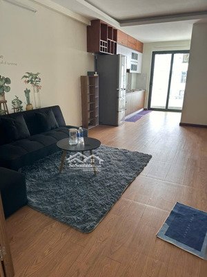 cho thuê căn 2pn2wc full nội thất tại vsip1