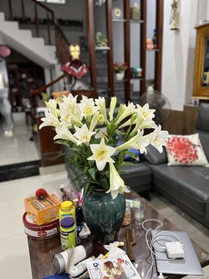 bán nhà 3 tầng chính chủ, mặt tiền bàu năng 7, phường thanh khê, 6,25 tỷ, 85m2 (5x17m)